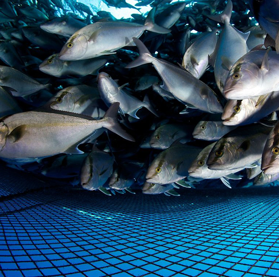 کاربرد ژنراتور اکسیژن PSA